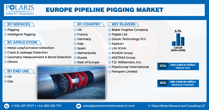 Europe Pipeline Pigging Market info